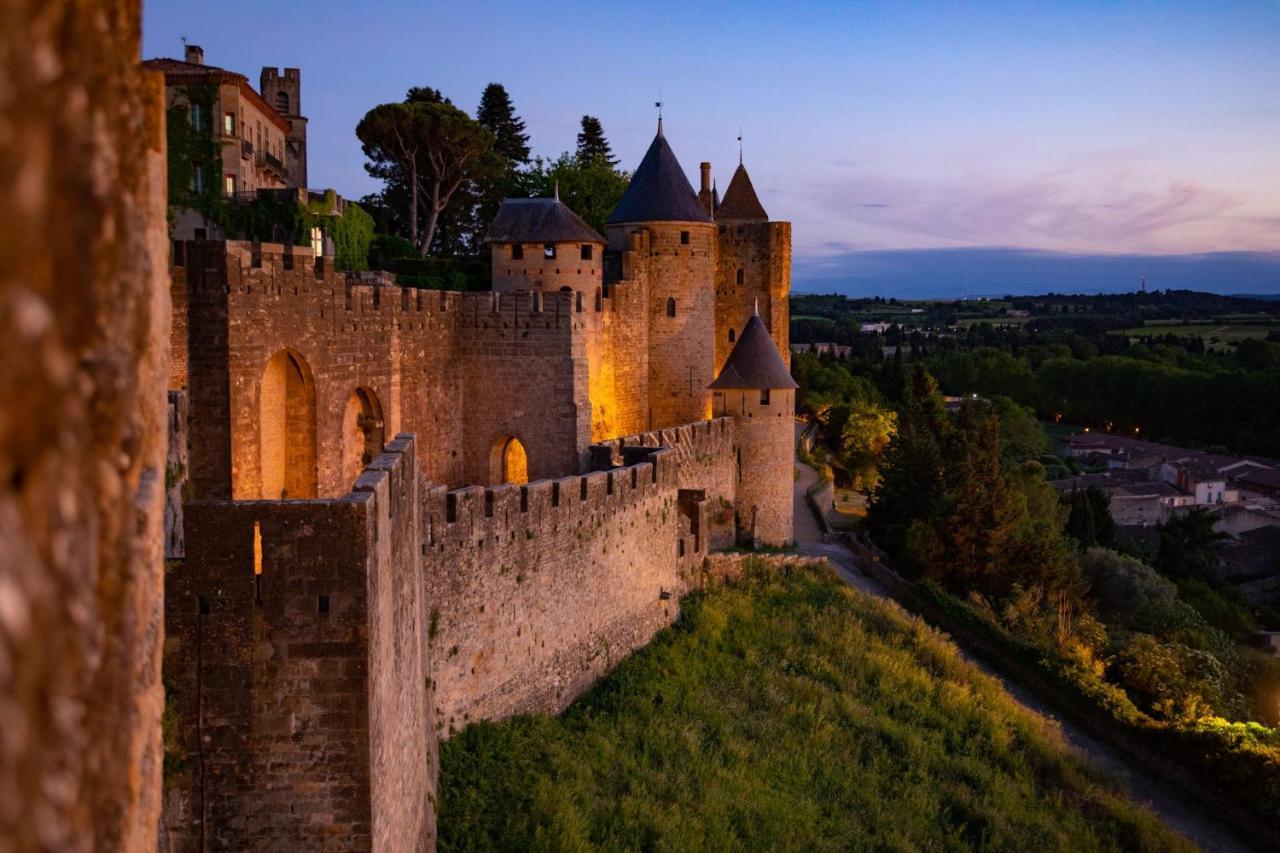 Tout Confort ! Calme, Climatisation, Piscine, Parking Gratuit, Grande Terrasse, Netflix, Wifi Carcassonne Exteriér fotografie