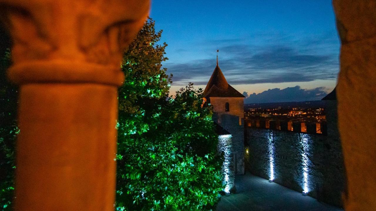 Tout Confort ! Calme, Climatisation, Piscine, Parking Gratuit, Grande Terrasse, Netflix, Wifi Carcassonne Exteriér fotografie