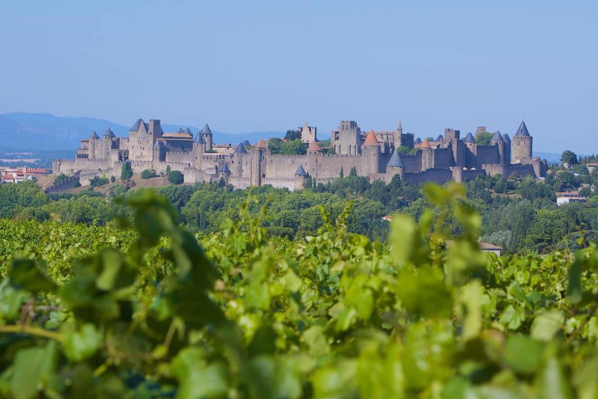 Tout Confort ! Calme, Climatisation, Piscine, Parking Gratuit, Grande Terrasse, Netflix, Wifi Carcassonne Exteriér fotografie