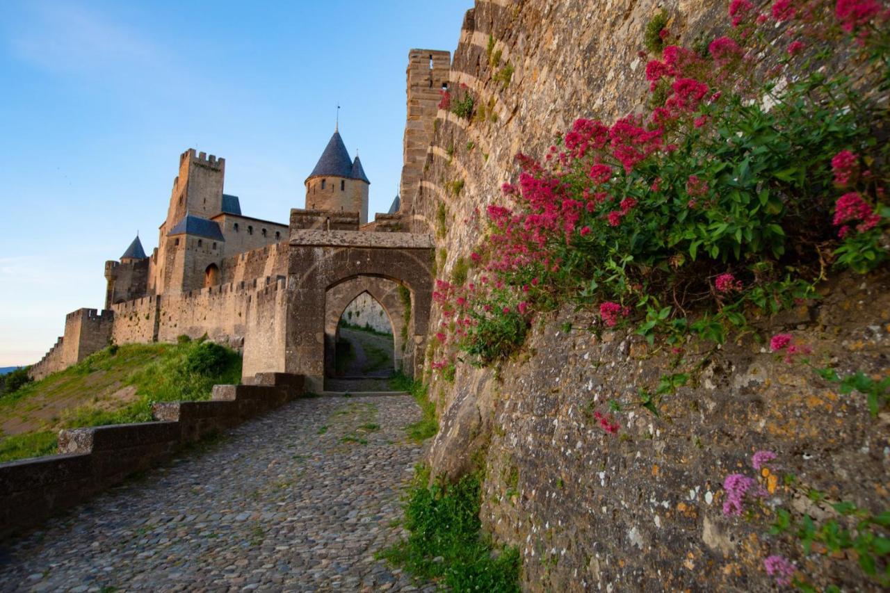 Tout Confort ! Calme, Climatisation, Piscine, Parking Gratuit, Grande Terrasse, Netflix, Wifi Carcassonne Exteriér fotografie